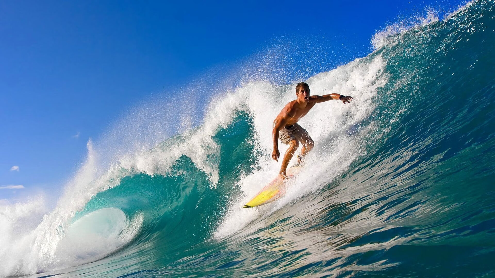_街头极限运动节：运动自由的最佳舞台_，街头极限健身百科